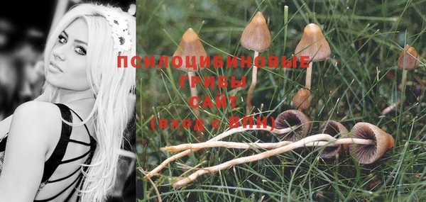 эйфоретик Балахна